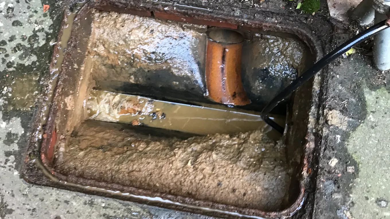 Image showing a blocked outdoor drain or manhole filled with sludge