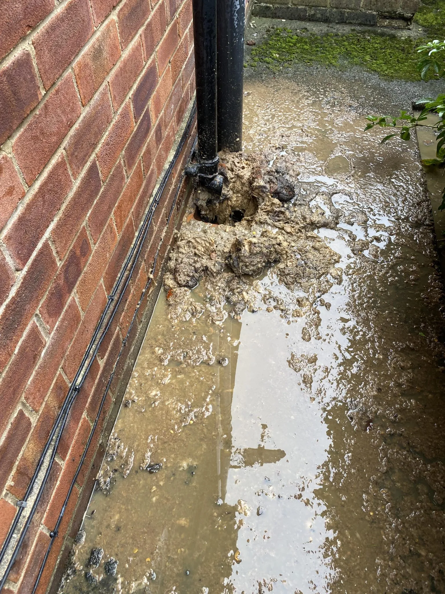 Severe blocked drain overflowing