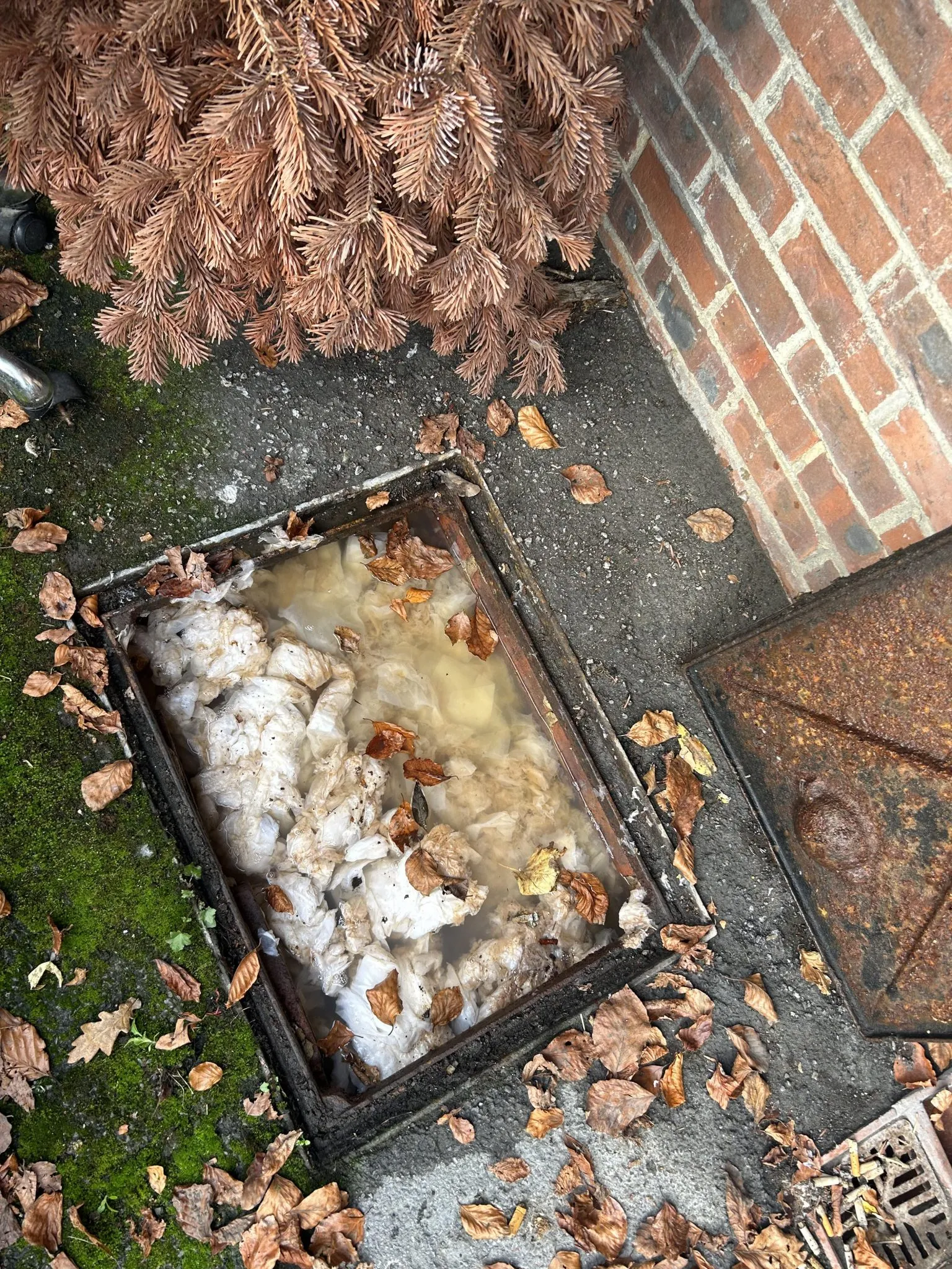 Severely blocked drain or manhole overflowing with wet wipes and dirty water